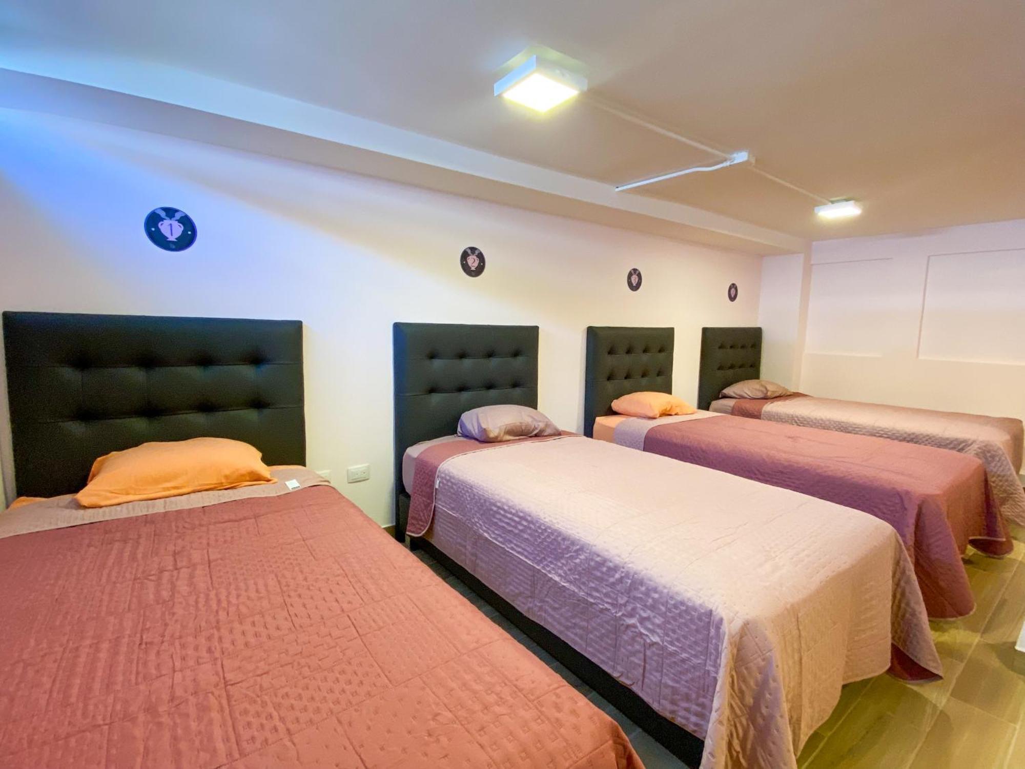 Casa Pandora Hostel Women Only San Jose  Ngoại thất bức ảnh