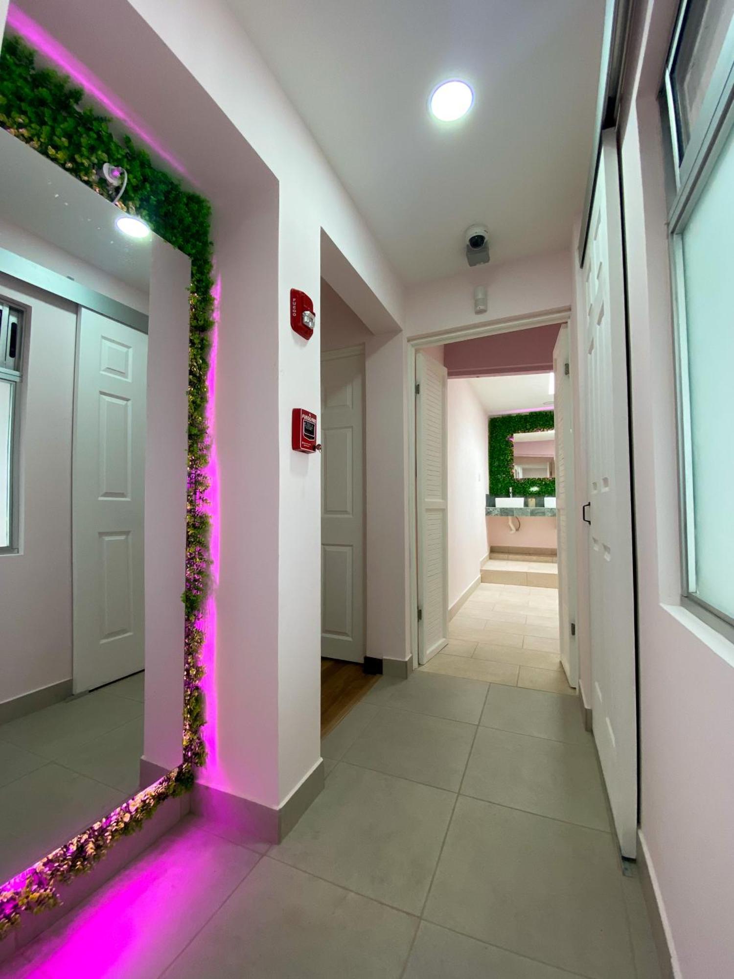 Casa Pandora Hostel Women Only San Jose  Ngoại thất bức ảnh